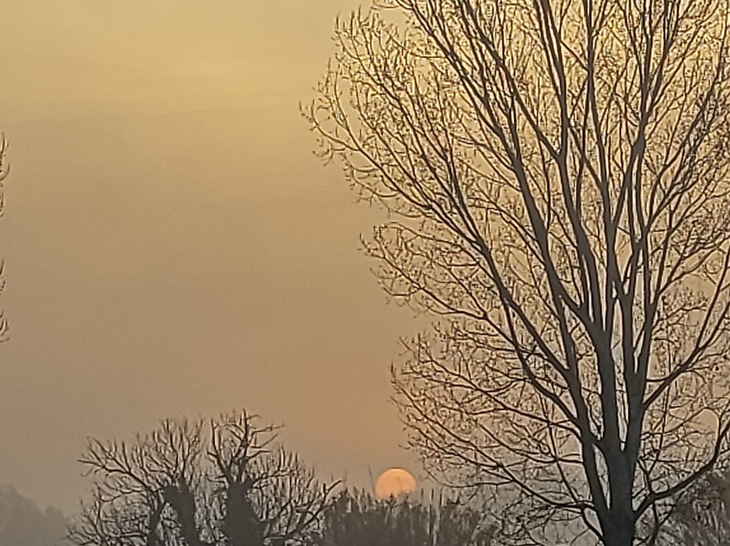 No s'ha trobat l'arxiu